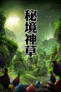海盗的寻宝之旅