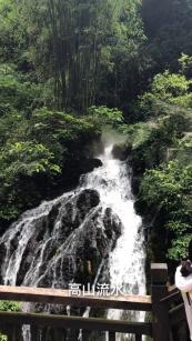 探探猫宝石岛3