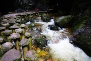 春雨直播app